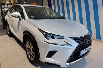 NX 300h Elegance AWD