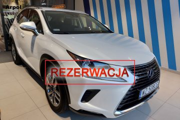 NX 300h Elegance AWD